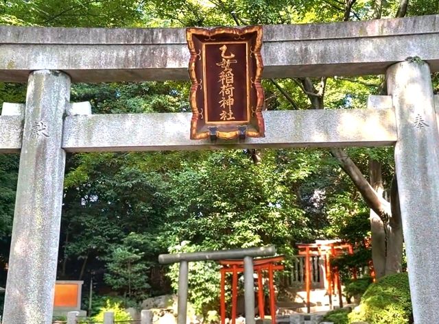 Tunnel of Vermilion Blessings, the Senbon Torii of Otome Inari Shrine