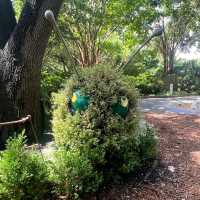 Fort Worth Botanic Garden