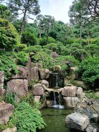Whispers of Nature: A Walk Through Hwadam Forest