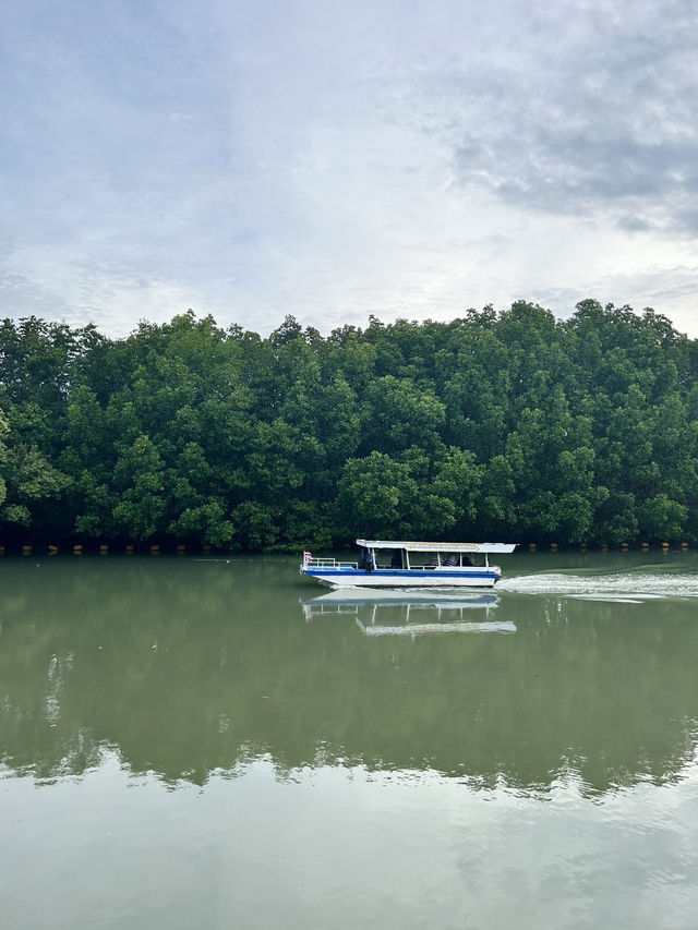 เดินสะพานไม้ สูดกลิ่นป่าชายเลน พระเจดีย์กลางน้ำ 🌿