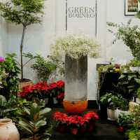 Botanic Brews and Earthy Escapes