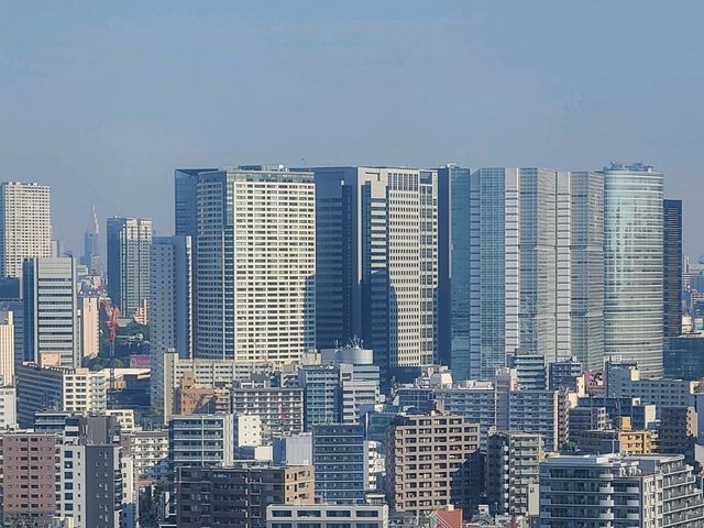 로이지르 호텔 시나가와 씨사이드(ロワジールホテル 品川シーサイド) Seaside Deluxe Twin
