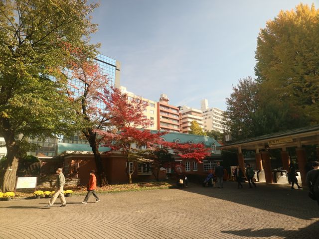 極品景點：四季皆美的東京城市綠洲