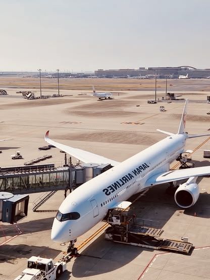 Solo Traveler’s Guide to Haneda Airport: More Than Just a Layover!** ✈️🌸  