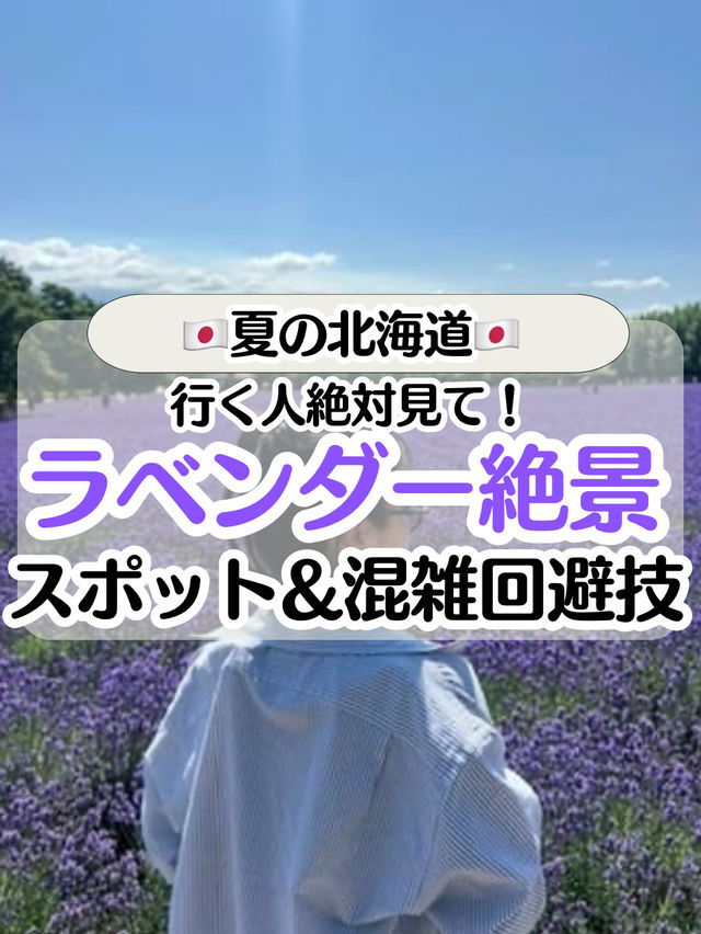 【夏の北海道】ラベンダー畑🪻の絶景スポット