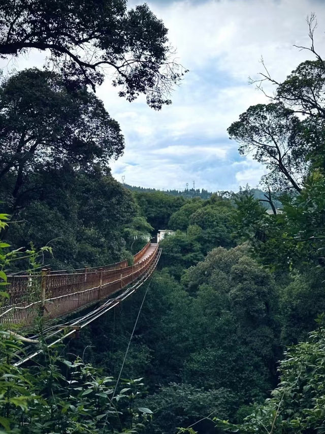 Qipan Mountain ⛰️ ☀️ 
