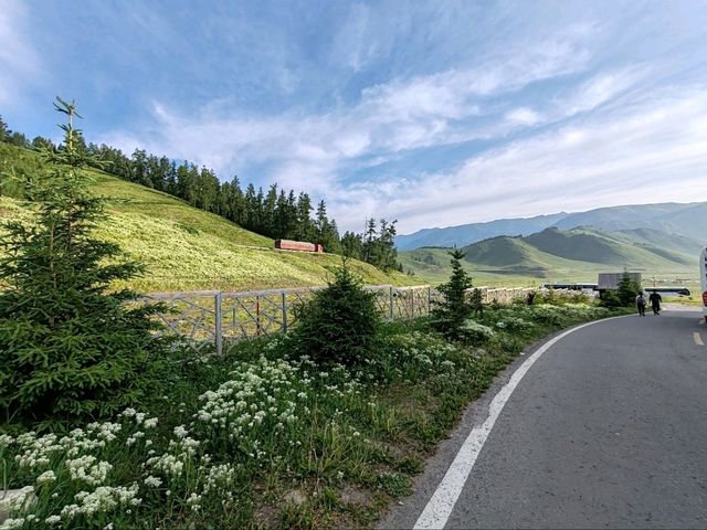 The Birch Forest Resort Hotel: A Tranquil Haven in the Mountains