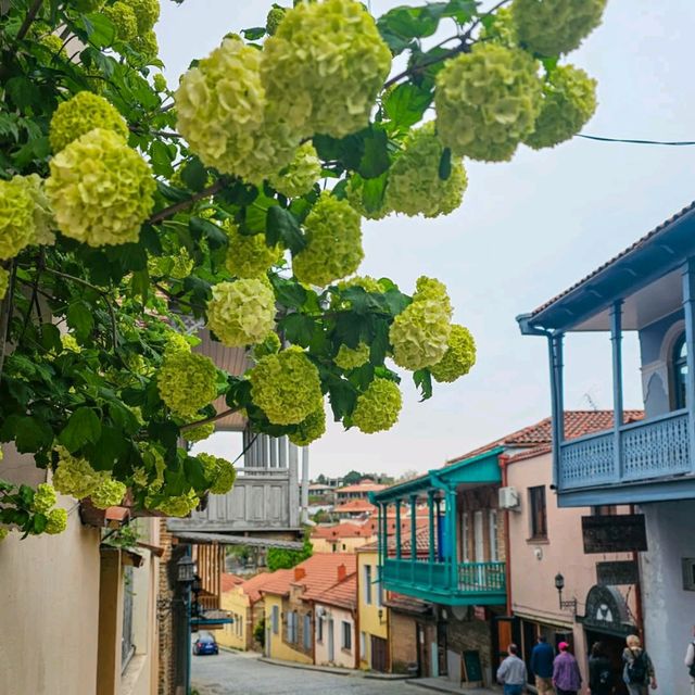 Strolling Through Signagi’s Cozy Heart