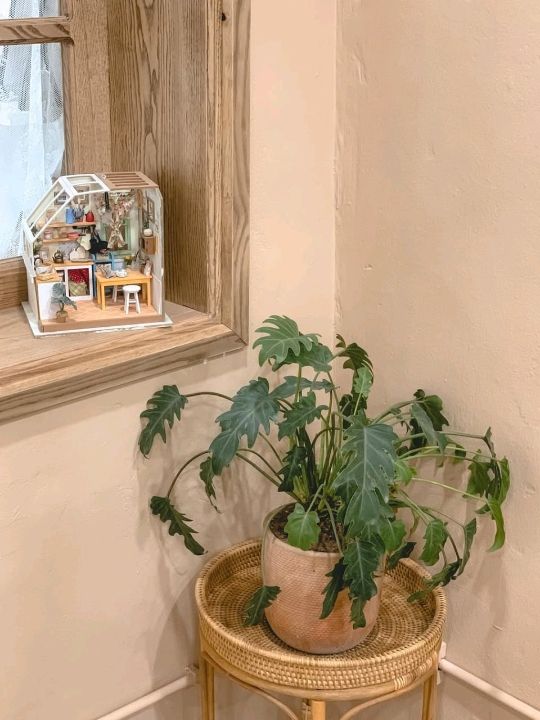Lá Cafe