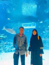 Aquaria Phuket พิพิธภัณฑ์สัตว์น้ำที่ใหญ่ที่สุด