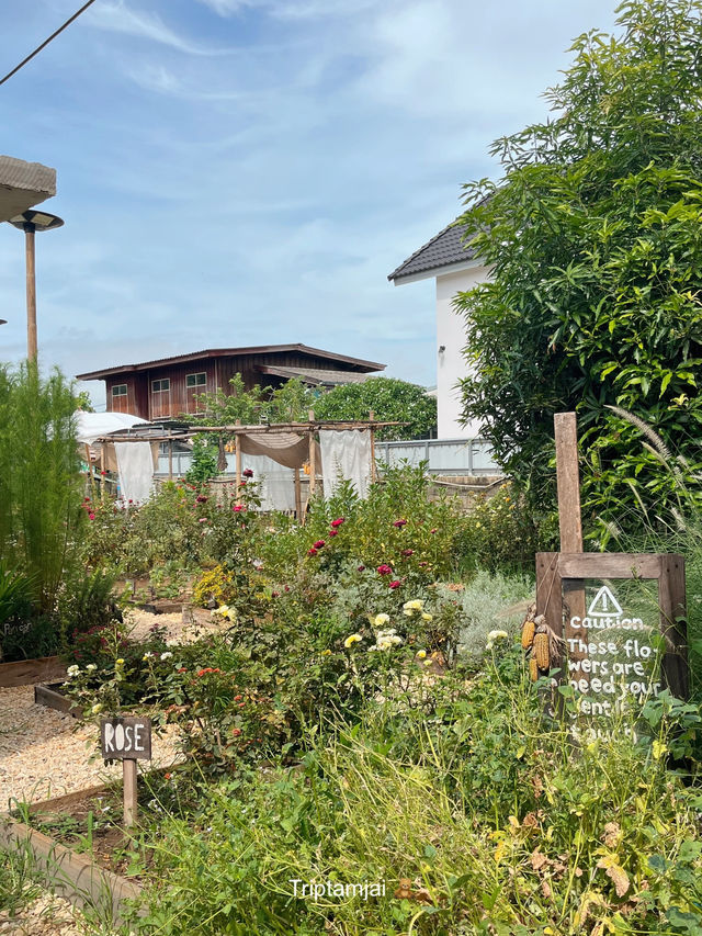 โฮมคาเฟ่ลำปางที่มีสวนดอกไม้น่ารักๆ 🧺🌼