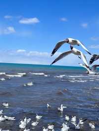 China’s Blue Mirror: Discovering Qinghai Lake