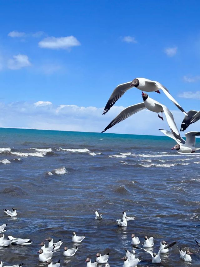 China’s Blue Mirror: Discovering Qinghai Lake