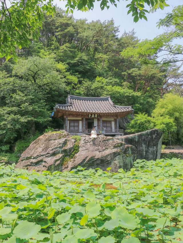 인생 영화 속 주인공이 될 수 있는 여행지, 문경