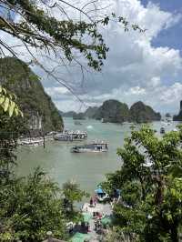 Ha Long city and Ha Long Bay visit 