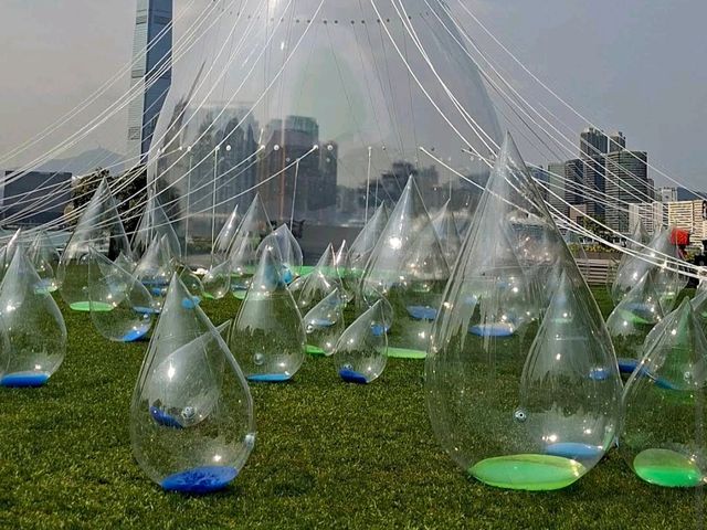 Tamar Park – Modern park with great harbor views.