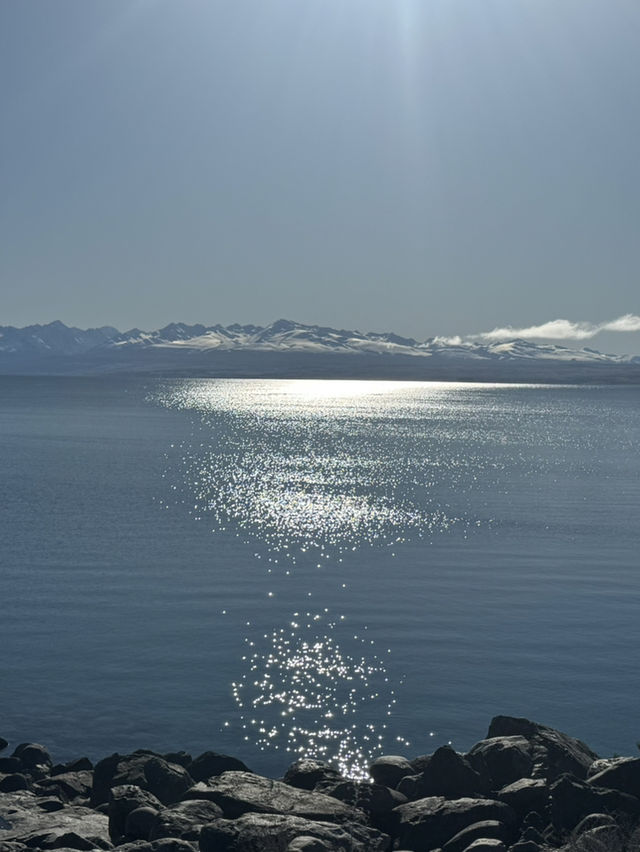 Tekapo - Lake, Dog statue & Church 