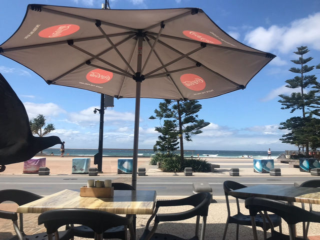 Beach Days & Hikes: Gold Coast Budget Guide