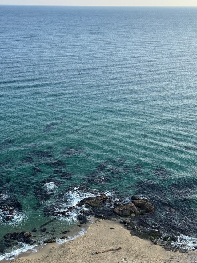 🌊 바다와 예술, 문화가 만나 더 특별한 강릉 2박 3일 여행코스
