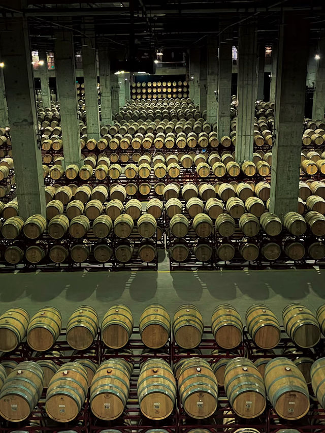 🍷 A Fairytale Castle at the Edge of Xi’an – Zhangyu Reina Chateau Winery