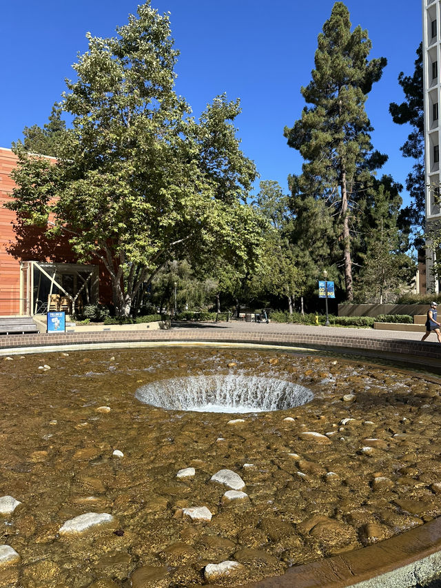 洛杉磯UCLA校園探索指南 | 走進西海岸學術殿堂 🌟