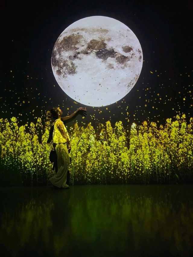 光と風が織りなす空間美。五感で感じる済州の“永遠の自然”🌿🎶