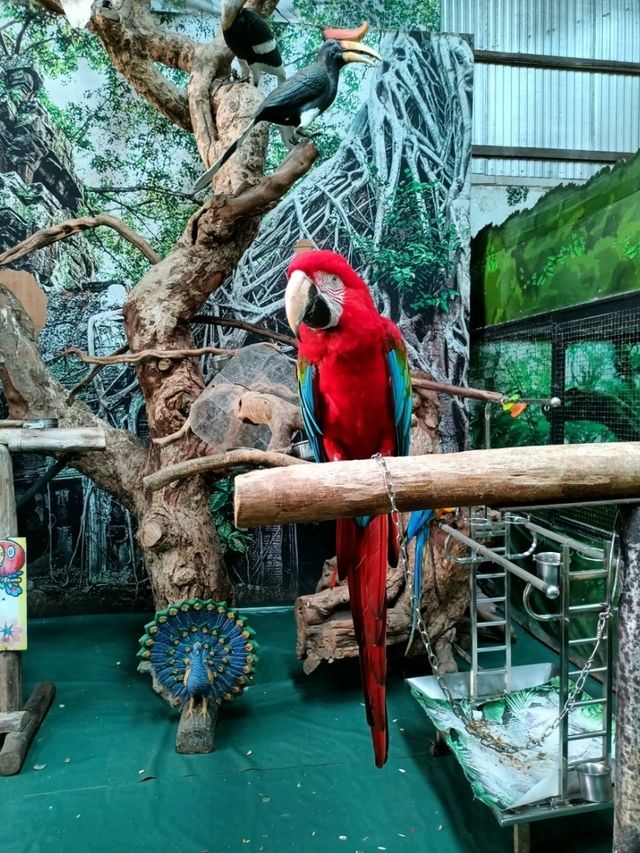 ชมนกหายากกันที่ Monster Aquarium 