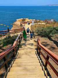 🌴La Jolla Cove – California’s Most Beautiful Beach Unleashed!🌊