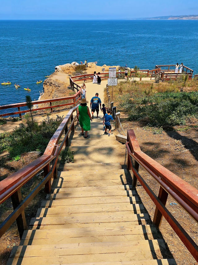 🌴La Jolla Cove – California’s Most Beautiful Beach Unleashed!🌊