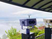 Photosynthesis and Panic: A Day at The Habitat