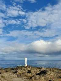 The Wonderful Jogashima Park in Yokosuka