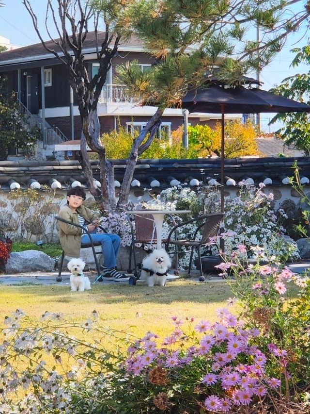 반려견과 함께 여유로운 시간🩷강릉 목과원카페