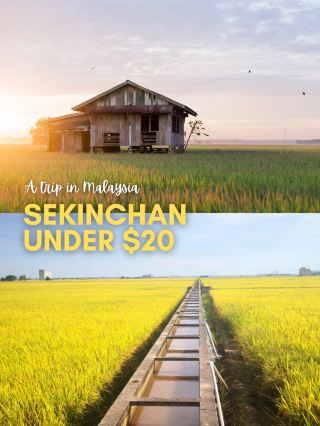 🇲🇾세킨찬, 말레이시아에서 $20