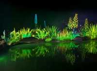 Enchanted forest light show at the Greenhouse