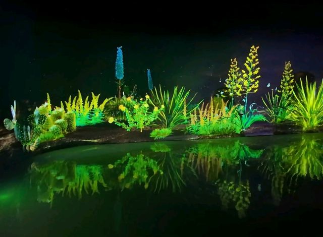Enchanted forest light show at the Greenhouse