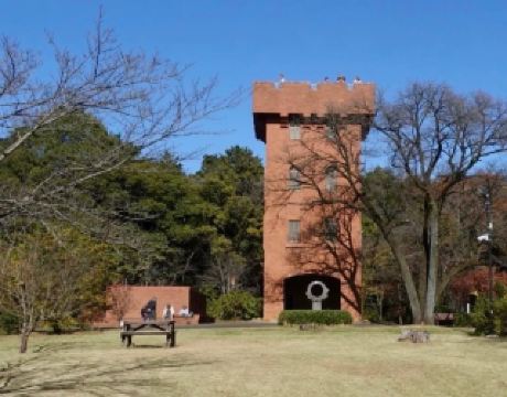 Green Haven—Aromatic Wood Forest Park