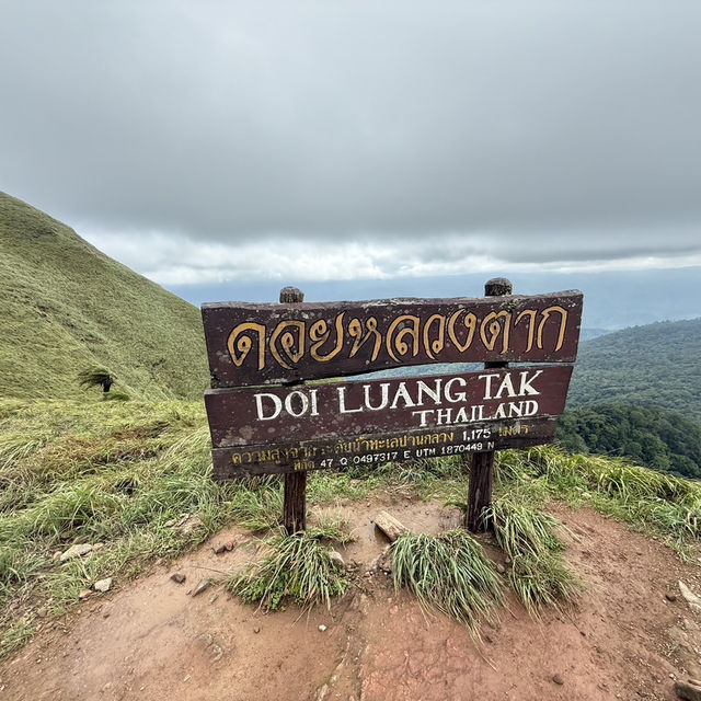 🌿 รีวิวดอยหลวงตาก | เดินป่าชันแต่วิวแจ่มมาก! 🏔️