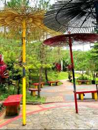 Baguio Botanical Garden: A Peaceful Nature Escape