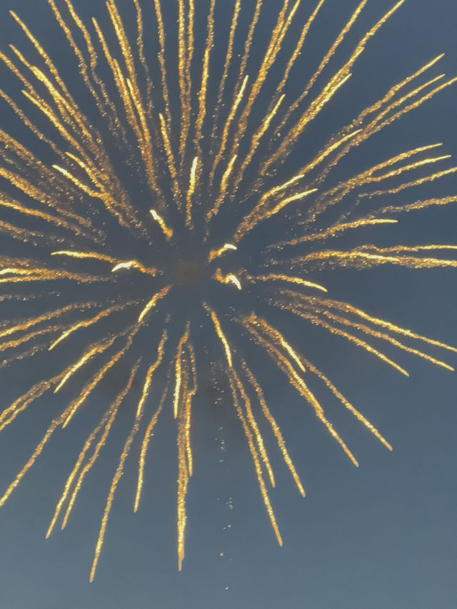 Tokyo's Summer: Sumida Fireworks Magic🎇 Tokyo's Summer: Sumida Fireworks Magic🎇