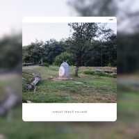 Jungle Space Village – คาเฟ่กลางป่าอ่างเก็บน้ำ