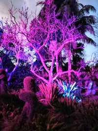 🎆Lightscape Part 1🎆