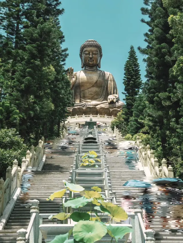 📍 Hong Kong on a Budget – A Photographer’s Dream 📸✨