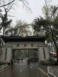 Yuelu Academy: The Millennium Cradle of Chinese Wisdom