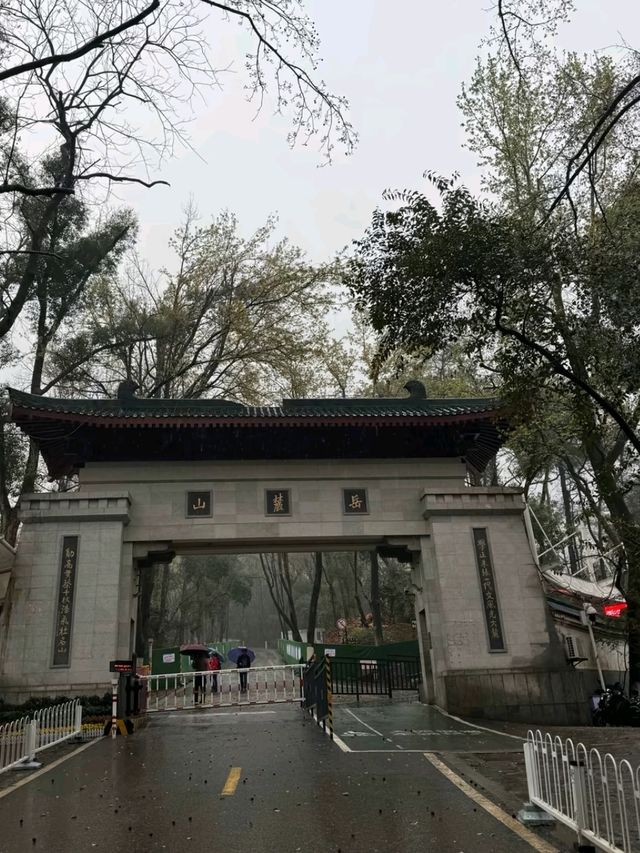 Yuelu Academy: The Millennium Cradle of Chinese Wisdom