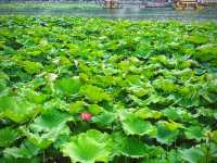 🌿 Beihai Park – A Timeless Imperial Garden in Beijing 🏯