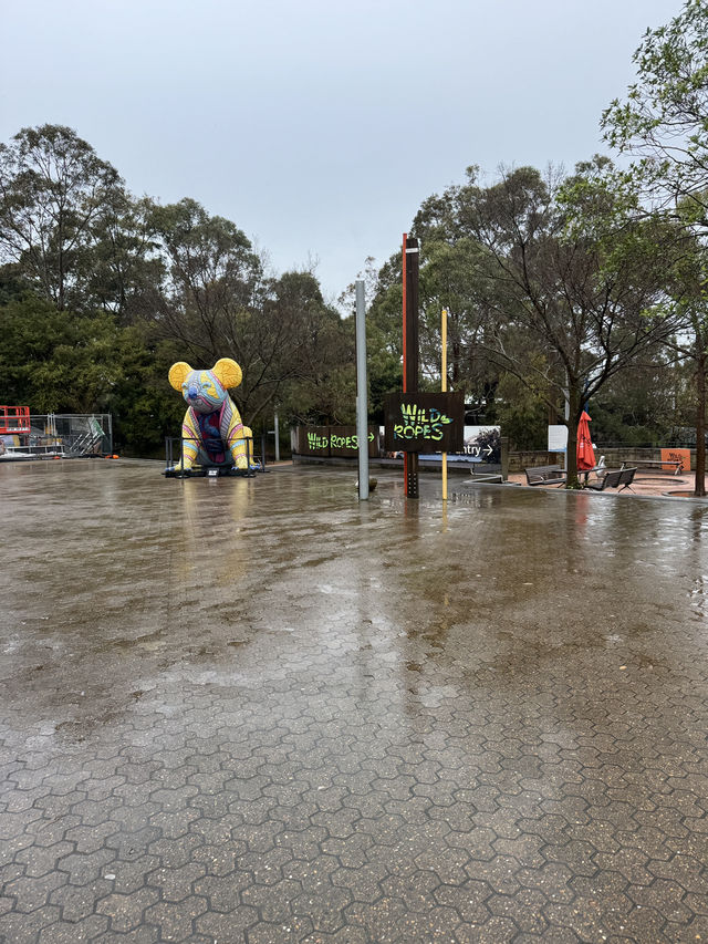 🇦🇺 塔龍加動物園（Taronga Zoo）是悉尼必游的世界級生態動物園
