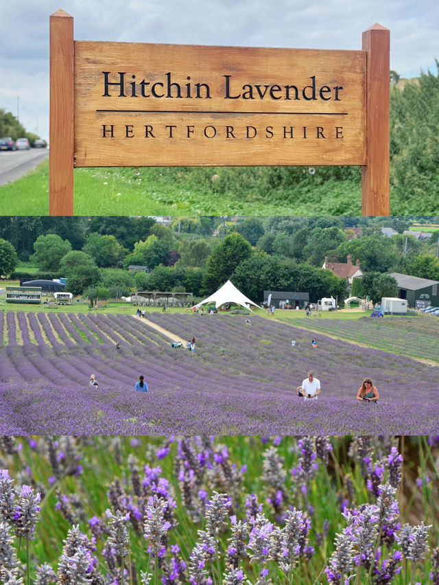 On the Road Through UK: Long Road Trip Itinerary – Hertfordshire 