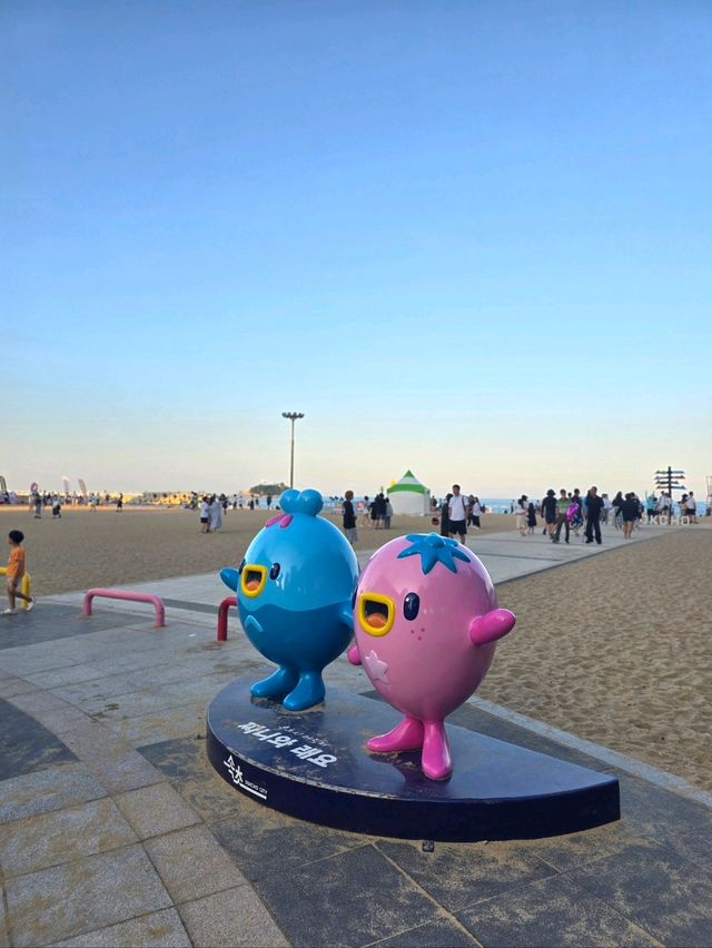 여름 핫플! 속초해변의 낮과 밤 즐기기🏖