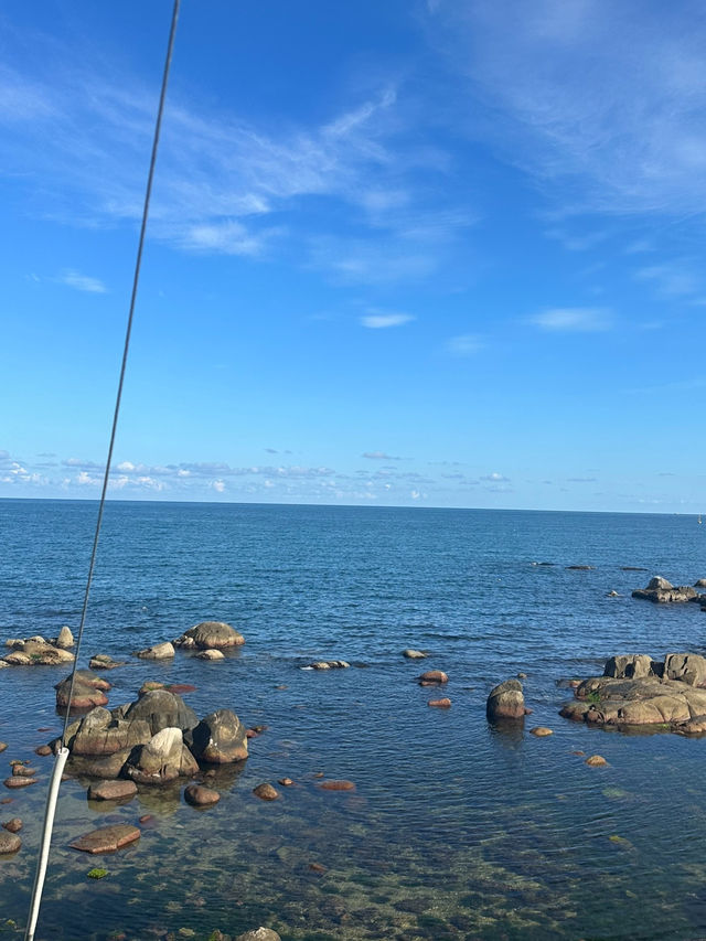❗️울산 바다와 함께 즐기는 오션뷰 카페 투어🌊☕️