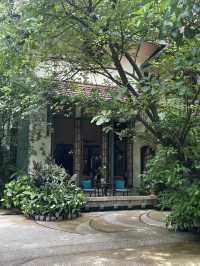 Bangkok’s hidden oasis 🍃
